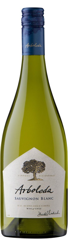 Sauvignon Blanc Aconcagua 2016
